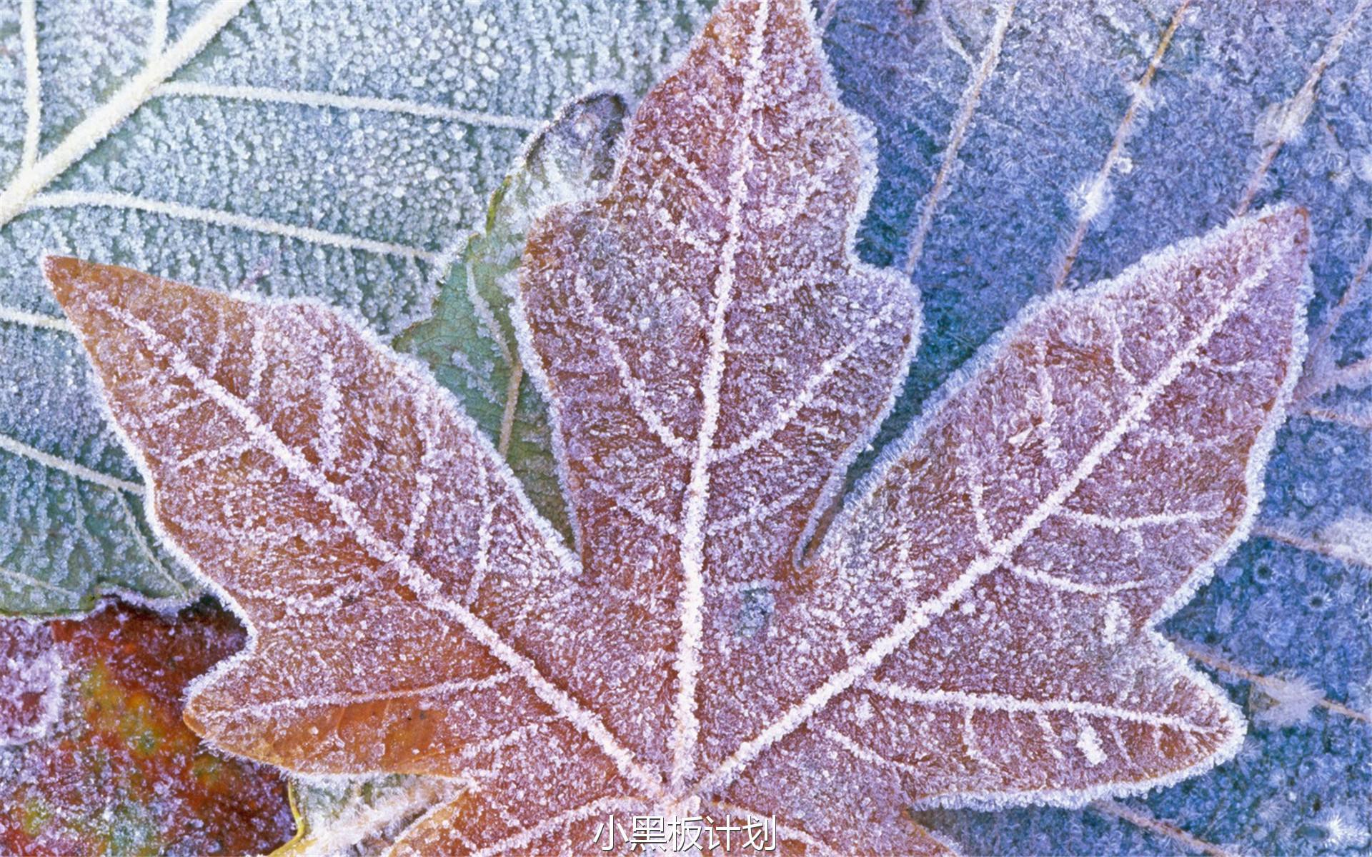 霜降养生禁忌我们深圳油压按摩为您详细介绍